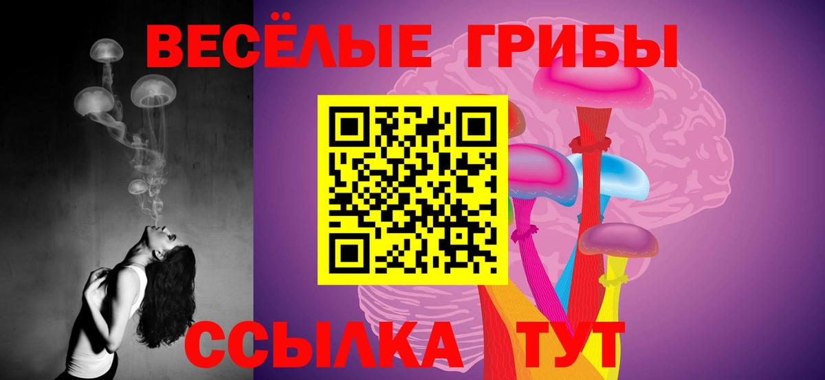 Псилоцибиновые грибы Magic Shrooms  магазин  наркотиков  Волоколамск  Вход с VPN 